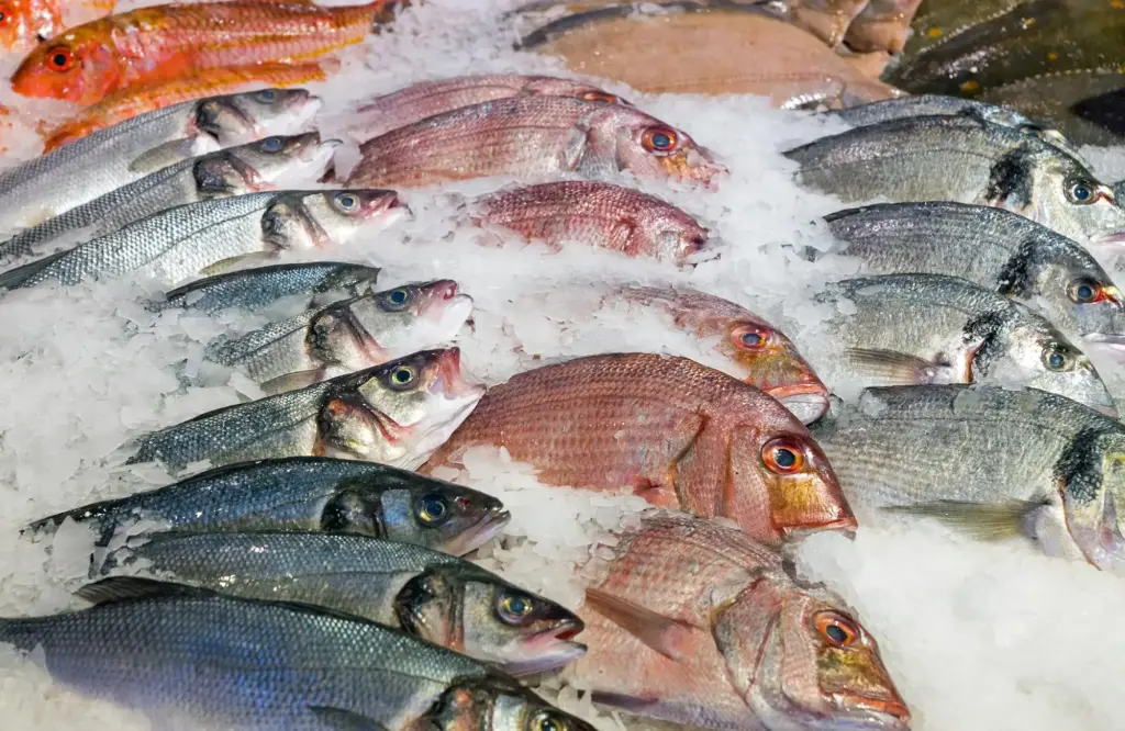 Fisch Kühlhalle